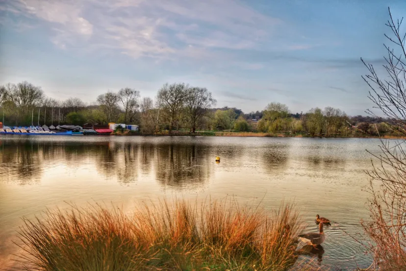Norfolk countryside - Osiris IT service area across the county